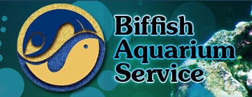 Biffish Aquarium Service